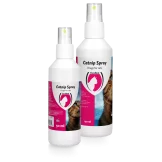 Catnip spray
