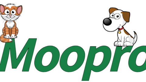 Schrijf je in voor de nieuwsbrief en krijg 5% korting